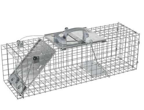 Animal Traps - Ace Hardware